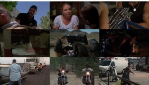 Download Born to Ride (2011) BluRay 1080p 5.1CH x264 Ganool