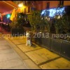 imagebam.com