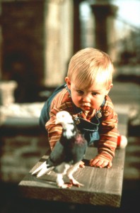 Младенец на прогулке / "Baby's Day Out" 1994 (33x) 3f26eb243792293