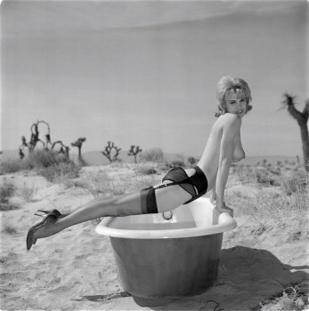 imagebam.com