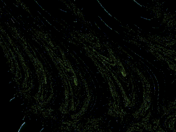 ImageBam image upload