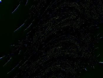 ImageBam image upload