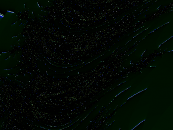 ImageBam image upload