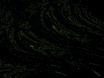 ImageBam image upload