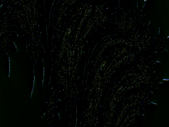 ImageBam image upload