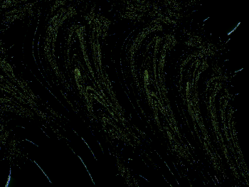 ImageBam image upload