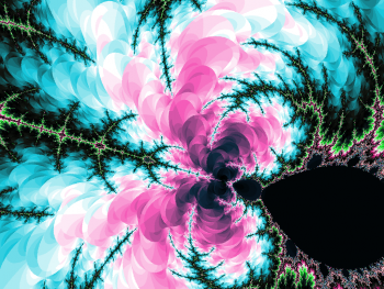 ImageBam image upload