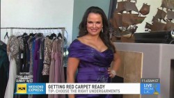 Natasha+Curry+Legs NATASHA CURRY cleavage - hln daytime emmy awards dress preview - *hot ...