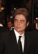 Бенисио Дель Торо (Benicio Del Toro) Cannes Film Festival, 'Sin City' Premiere (19 May 2005) (86xHQ) 16f5dd278578744