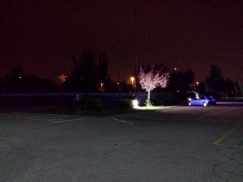 ImageBam image upload