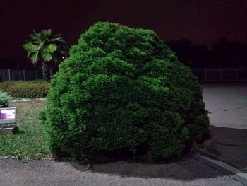 ImageBam image upload