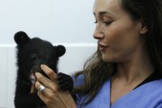 Мэгги Кью (Maggie Q) Vietnam Bear Rescue Center, май 2009 - 4xHQ Dce4ea281260135