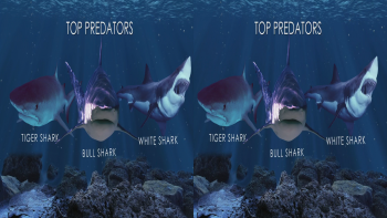 Oceans Predators 3D Half Sbs 2013 Belgesel indir Oceans Predators 3D Half Sbs 2013 Belgesel indir