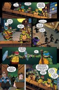 Teenage Mutant Ninja Turtles - New Animated Adventures #3
