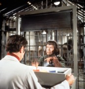 Бегство с планеты обезьян / Escape from the Planet of the Apes (1971)  05b16c402065638