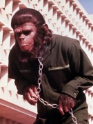 Завоевание планеты обезьян / Conquest of the Planet of the Apes (1972) 90def7402065382