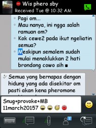 ImageBam image upload