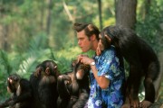 Эйс Вентура 2: Когда зовёт природа / Ace Ventura: When Nature Calls (Джим Керри, 1995) A2eb39403342125