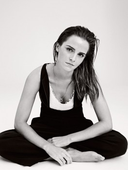 http://thumbnails108.imagebam.com/40340/e76192403397139.jpg