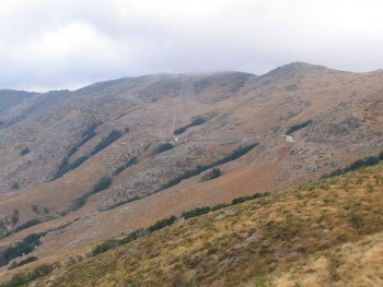 f3df55403920797.jpg