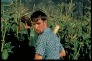 Дети кукурузы 5: Поля страха / Children of the Corn V: Fields of Terror (1998) 29ed20407896929