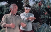 Парень-каратист / The Karate Kid (Ральф Маччио, Пэт Морита, 1984) 24b8a4407978948