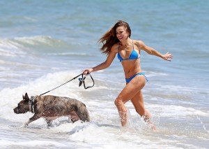 ImageBam image upload