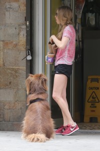 ImageBam image upload