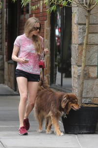 ImageBam image upload