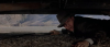  The Untouchables - Gli intoccabili (1987).avi DvdRip AC3 iTA-ENG